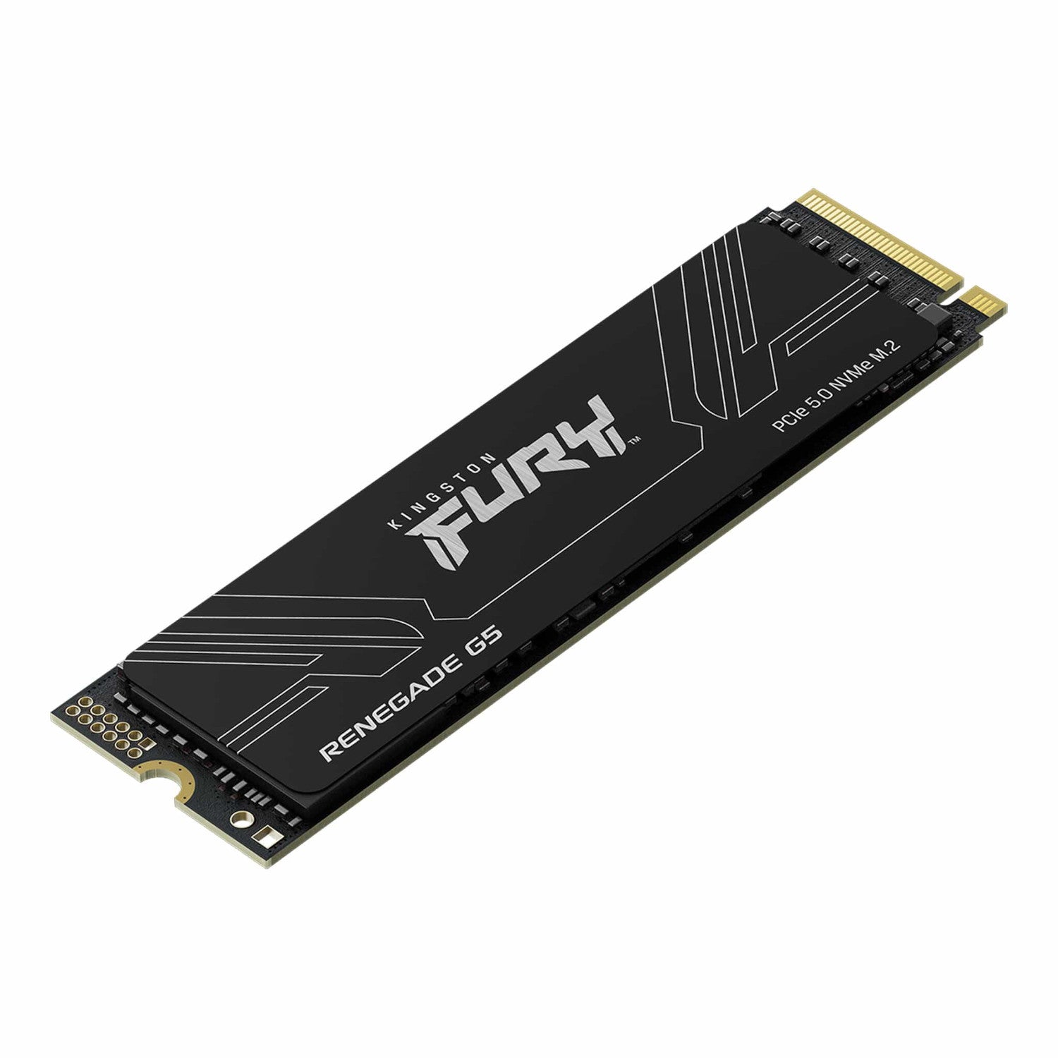 Disco SSD Kingston Fury Renegade G5 1024 GB