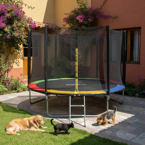 Cama Elástica Para Niños 10 pies 3.05 mt con Escalera Norplat