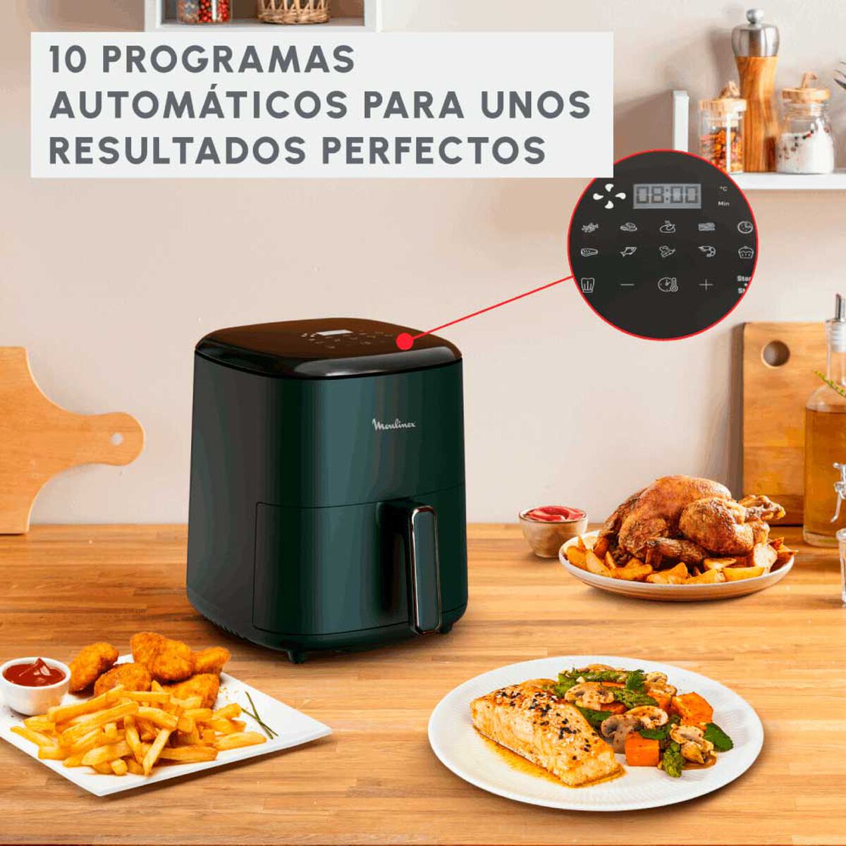 Freidora Moulinex LF19P 5 Litros