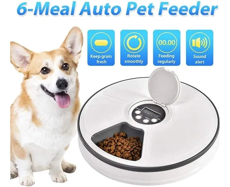 Alimentador Automatico Para Mascotas Timed Feeder Para Dispensar Comida En Horarios Establecidos 6 Raciones