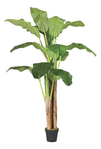 Planta Artificial Banana de 210 cm - Decoración Botánica