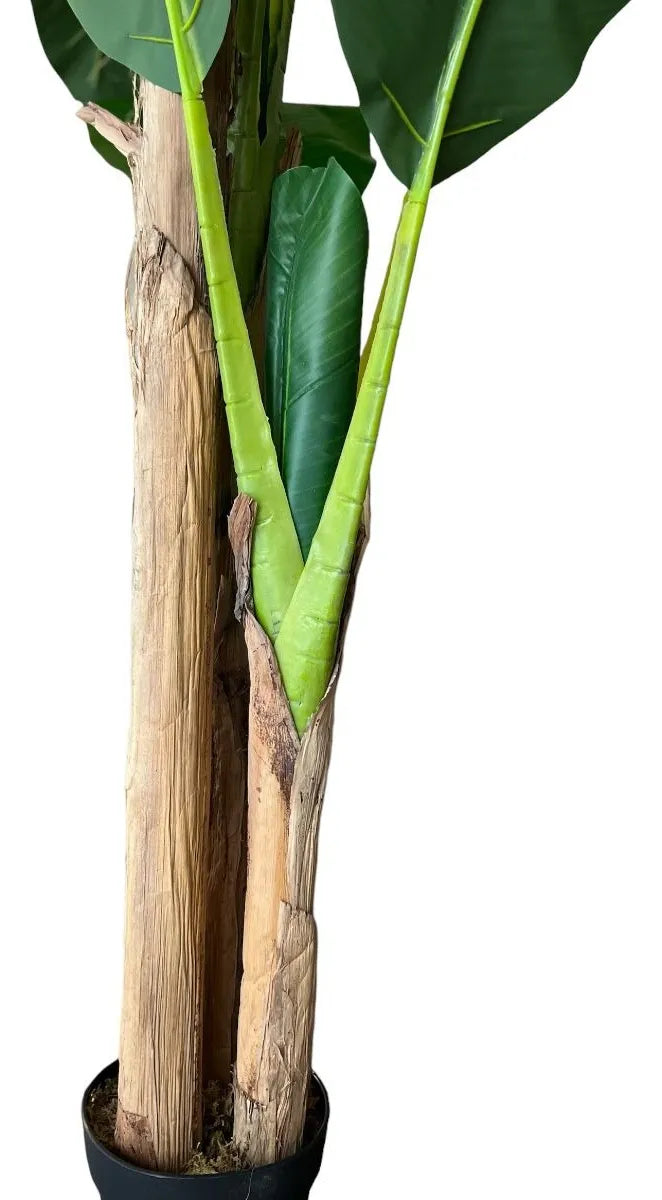 Planta Artificial Banana de 210 cm - Decoración Botánica
