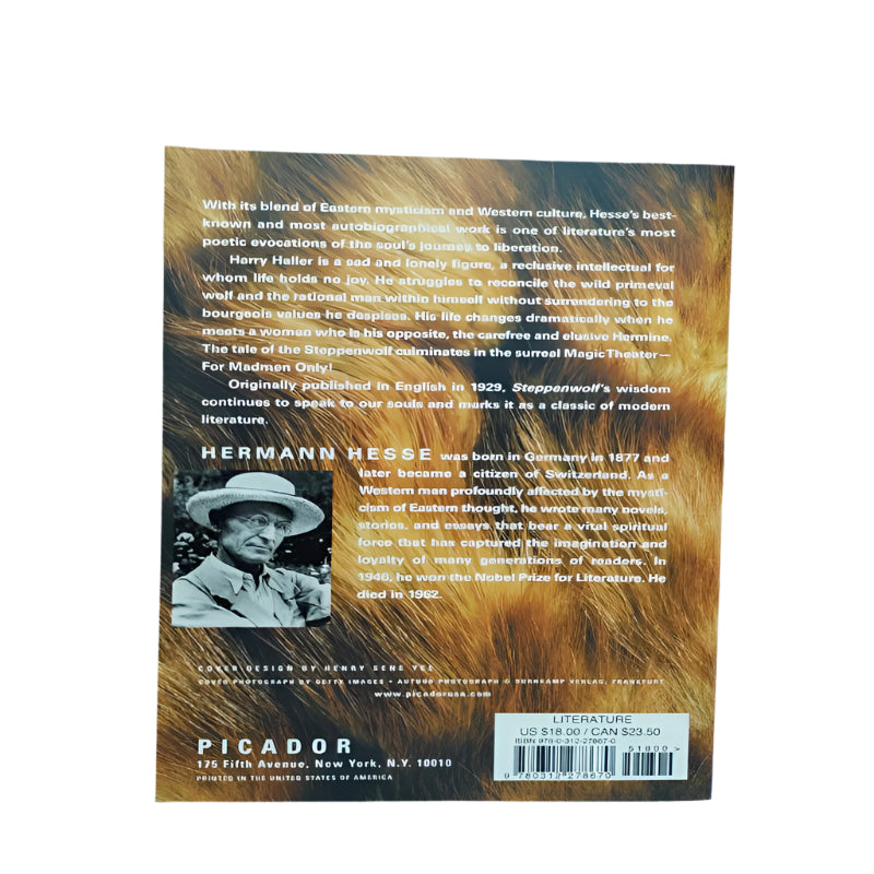 Libro Picador Hermann Hesse A Novel