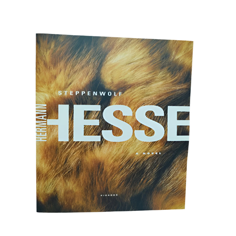 Libro Picador Hermann Hesse A Novel