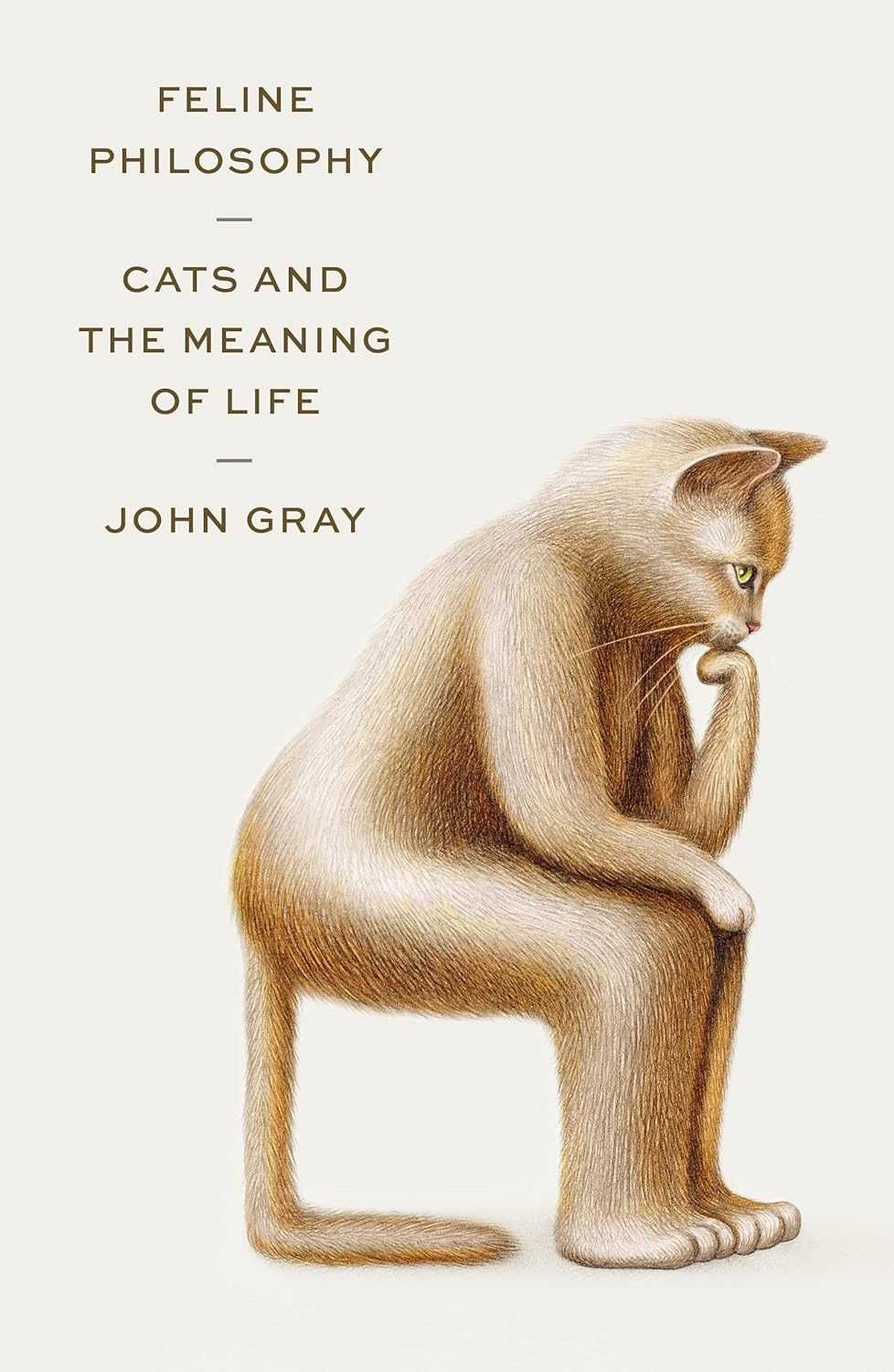 Libro Philosophy Cat And The Meaning Of Life