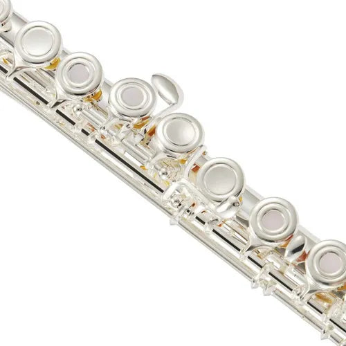 Flauta Traversa Profesional Sonido Nitido Eastar Plateado