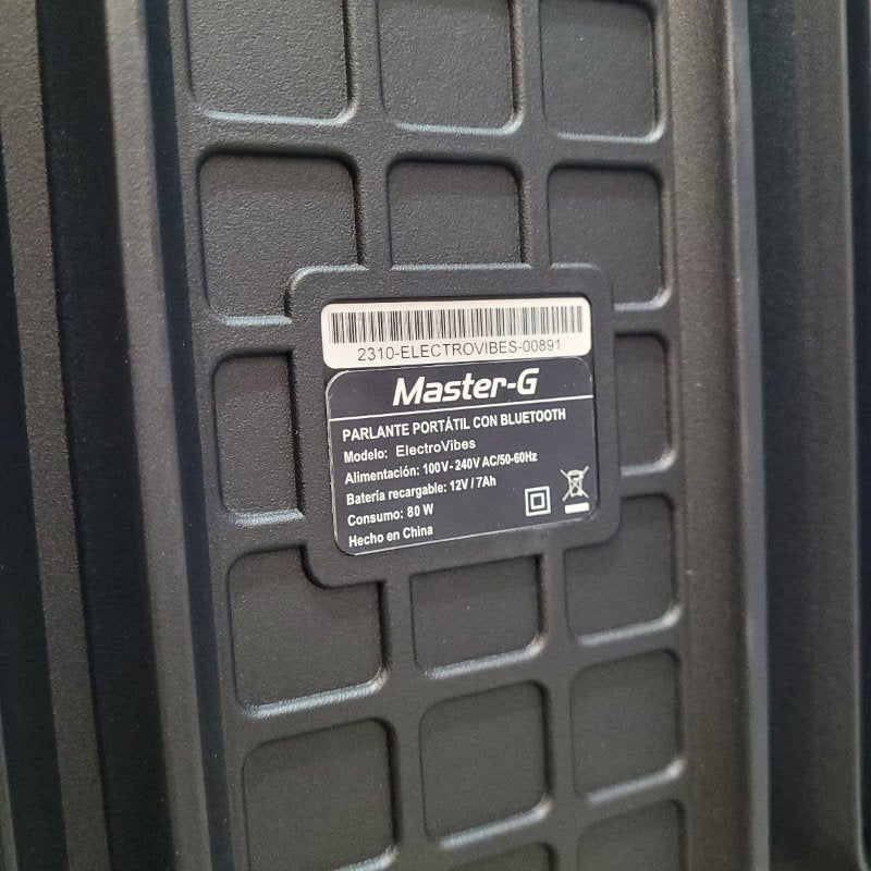 Parlante Bluetooth Karaoke Master-G Electrovibes 8" X2 16.000 Watts