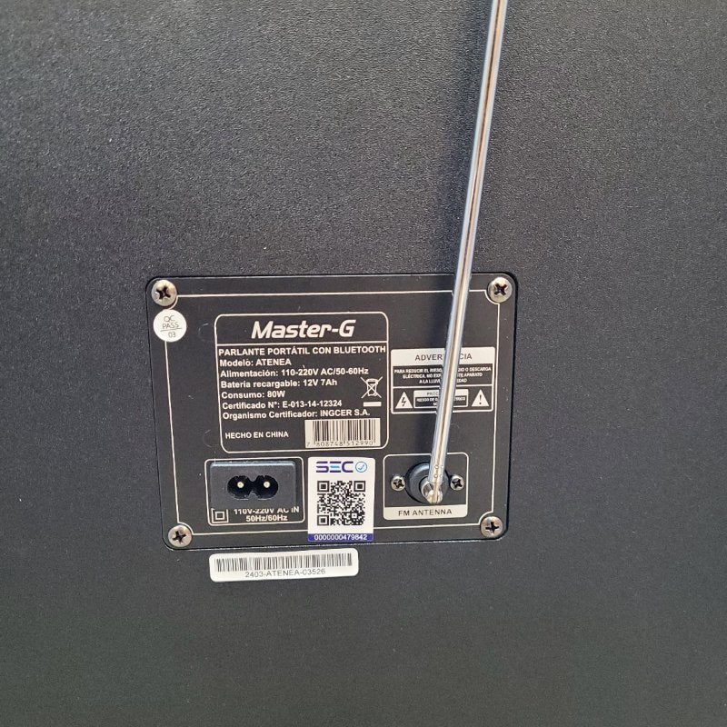 Parlante Bluetooth Karaoke Master G Atenea 8"X2 16.000 Watts