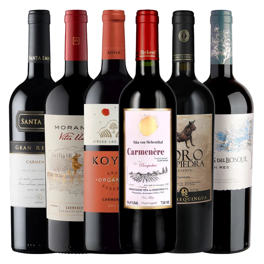 Pack Selección de Vinos (10 Botellas de 750ml)