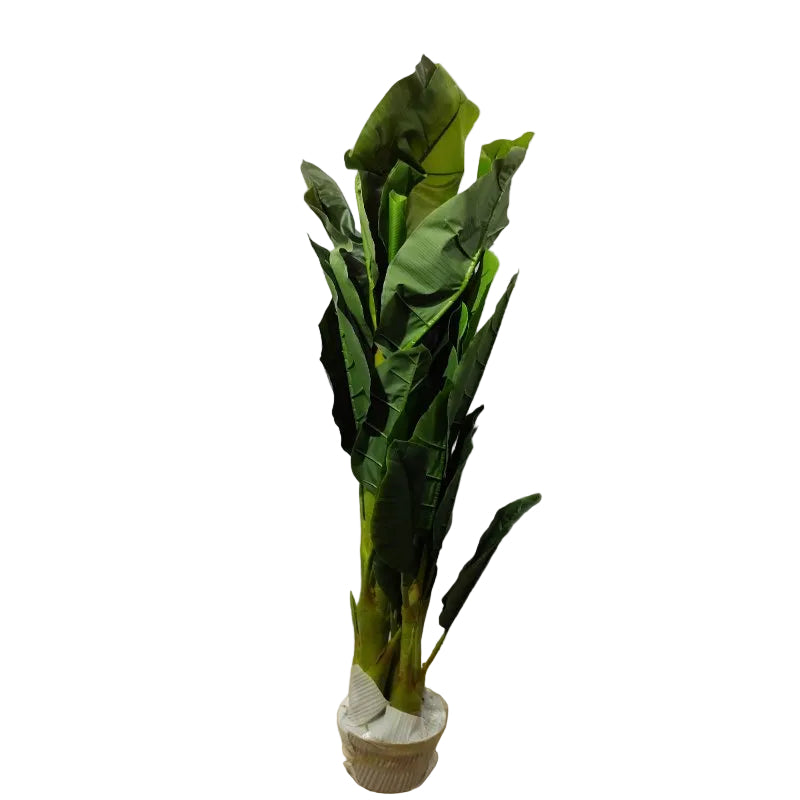Planta Artificial Banana de 210 cm - Decoración Botánica