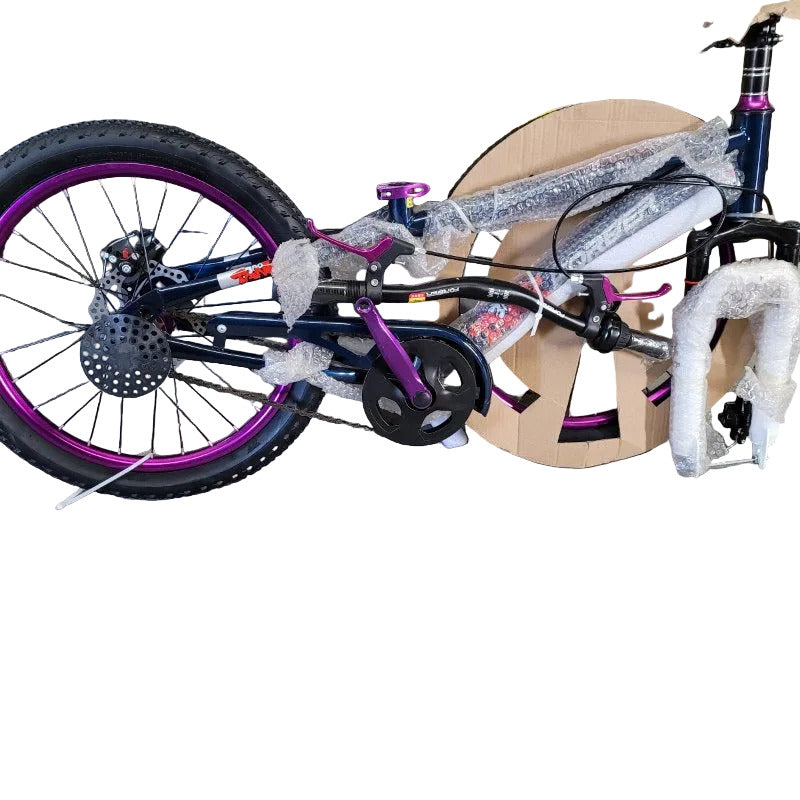 Bicicleta Aro 20 Shanghai Forever Bicycle, Azul/ Morado