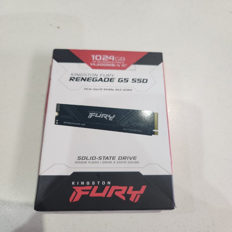 Disco SSD Kingston Fury Renegade G5 1024 GB