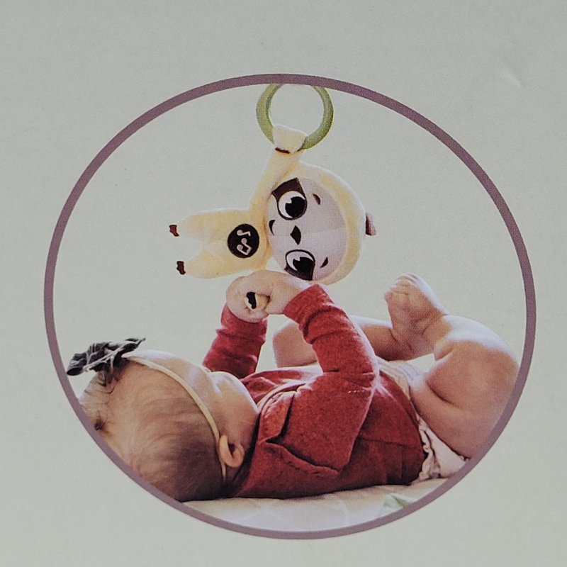 Gimnasio para Bebé Tiny Love Boho Chic 0-36 Meses