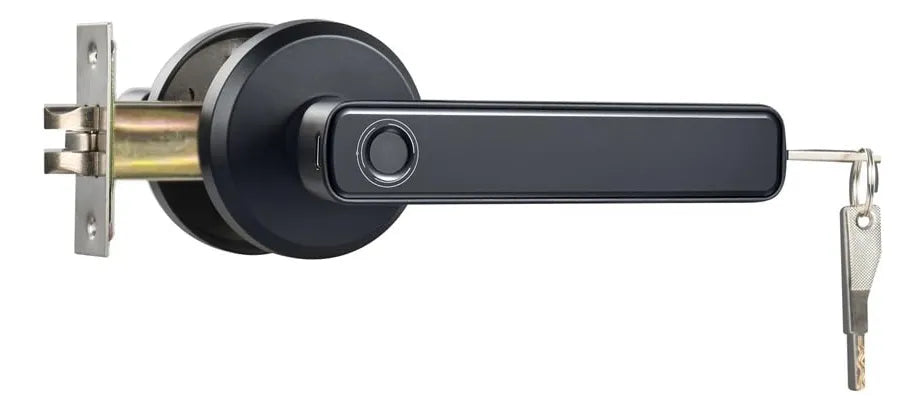 Cerradura Inteligente Eléctrico Con Huella Digital Genérico Gm3-Dz 2 Metodos Negro