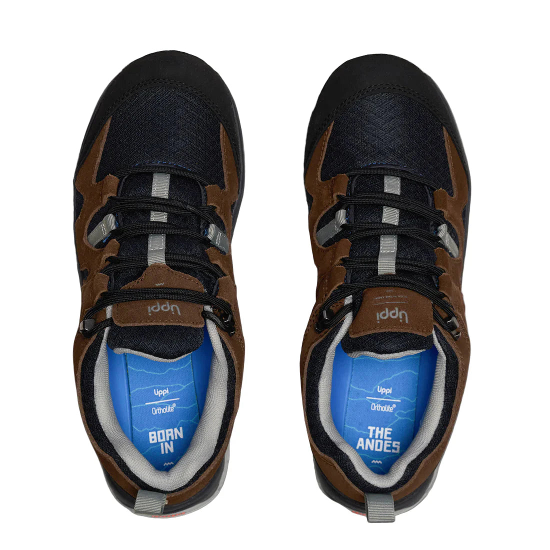 Zapato Lippi Tellus Low Cafe Eur 41 Masculino