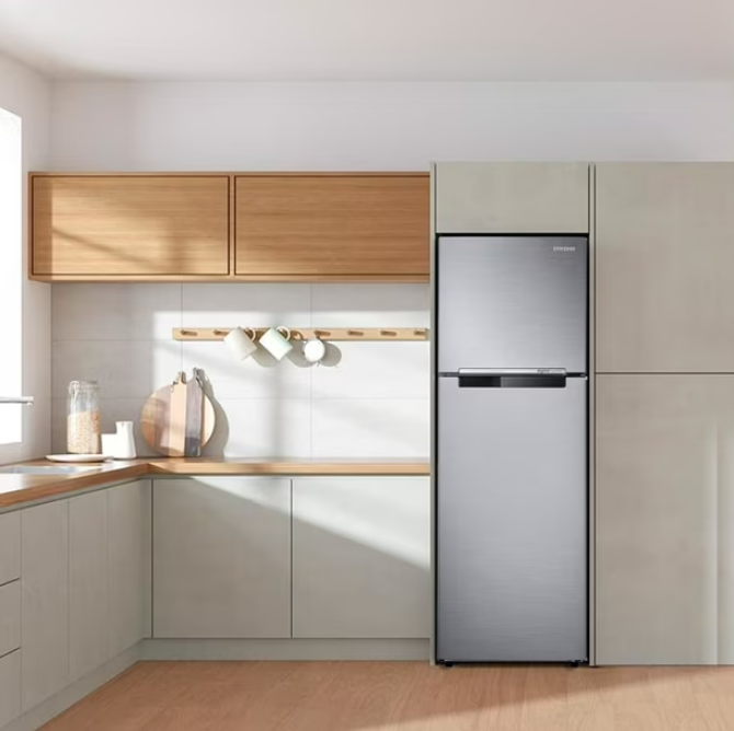 REFRIGERADOR TOP MOUNT NO FROST SAMSUNG RT25FARADS8 PLATEADO 261 LTRS