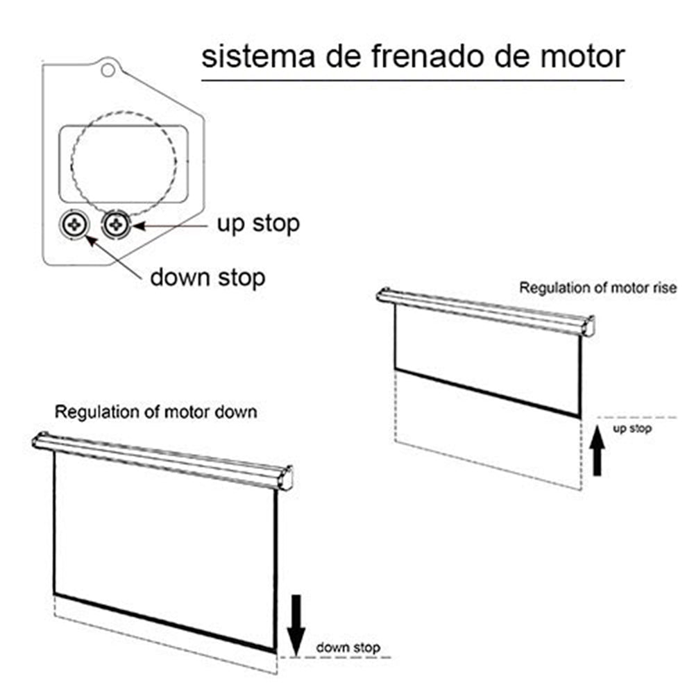 Telón Eléctrico con Control Remoto Evotech 300x300cm