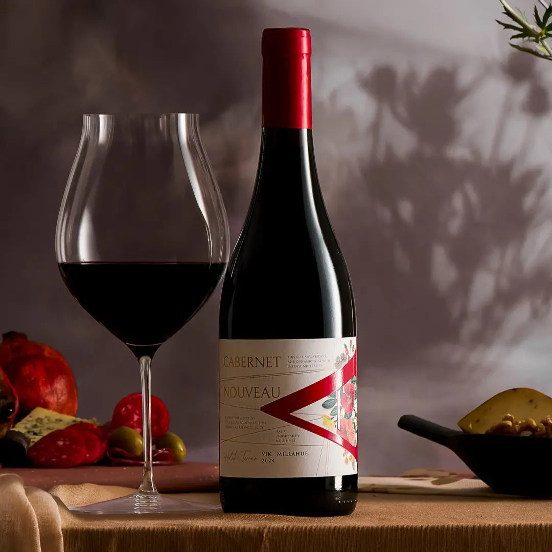Vino Nouveau Cabernet Sauvignon 750 ml 2024