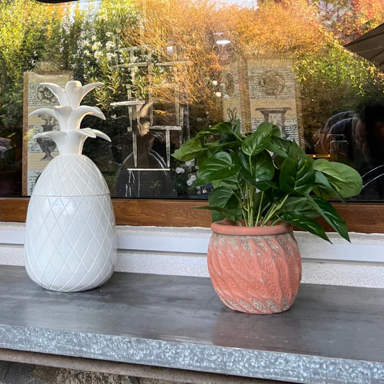 PLANTITA DE HOJAS EN MACETERO DE CEMENTO THE GARDEN