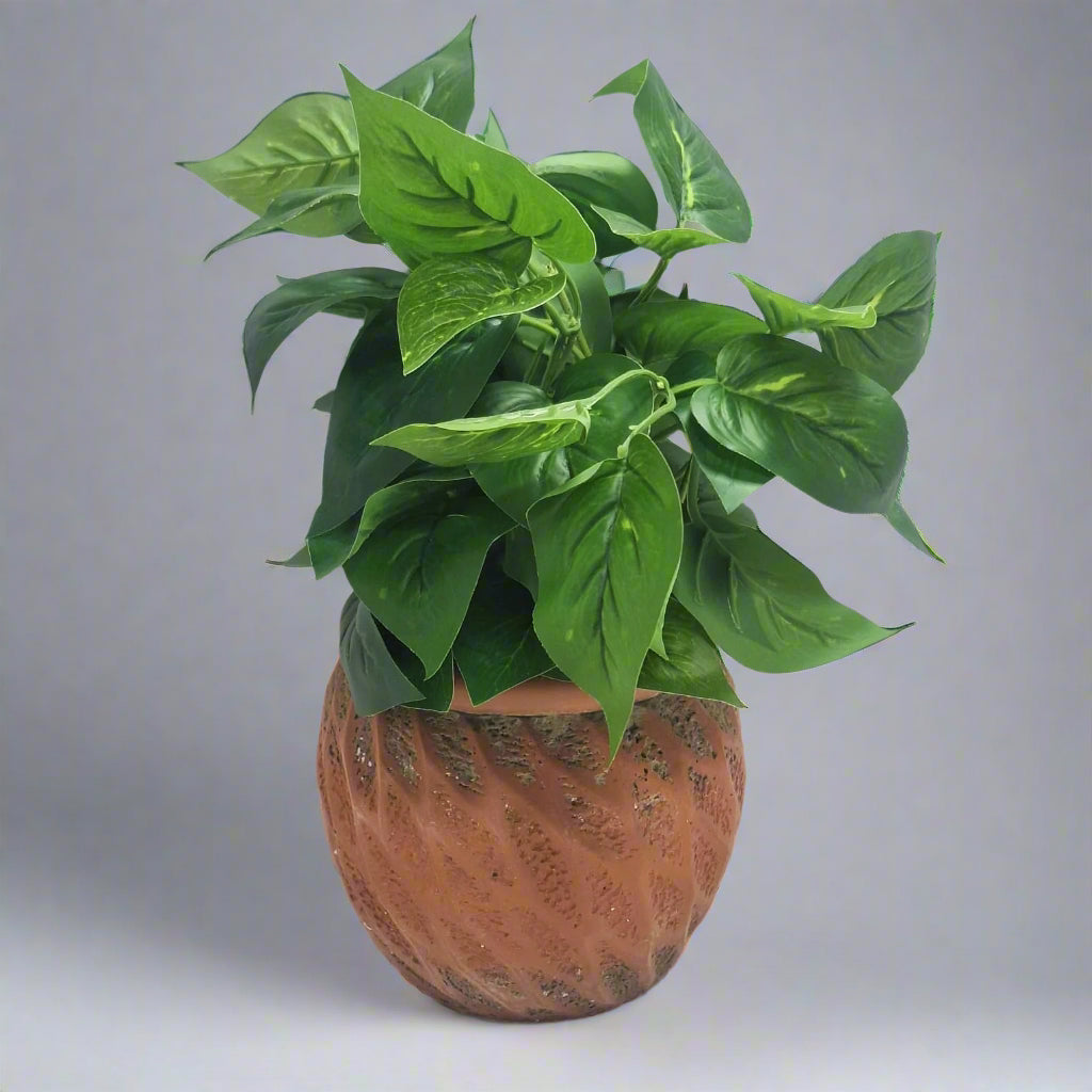 PLANTITA DE HOJAS EN MACETERO DE CEMENTO THE GARDEN