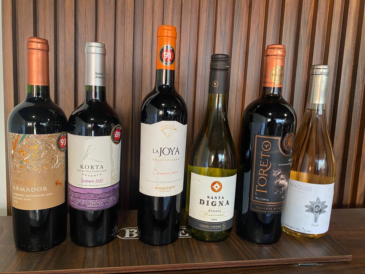 🍷 Pack Selección Premium de Vinos Chilenos – 11 Botellas (750 ml)