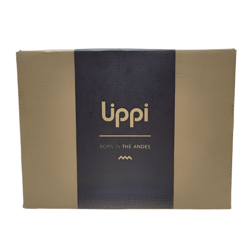 Zapatillas Lippi Puelo Cs Low Negro Uva 37 Femenino