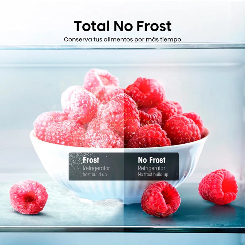 Refrigerador Hisense Rd-39wc Silver 300 Lts