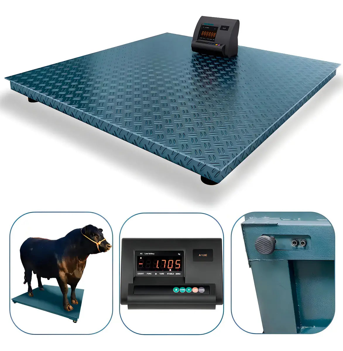 Balanza Industrial Hardpro 3T