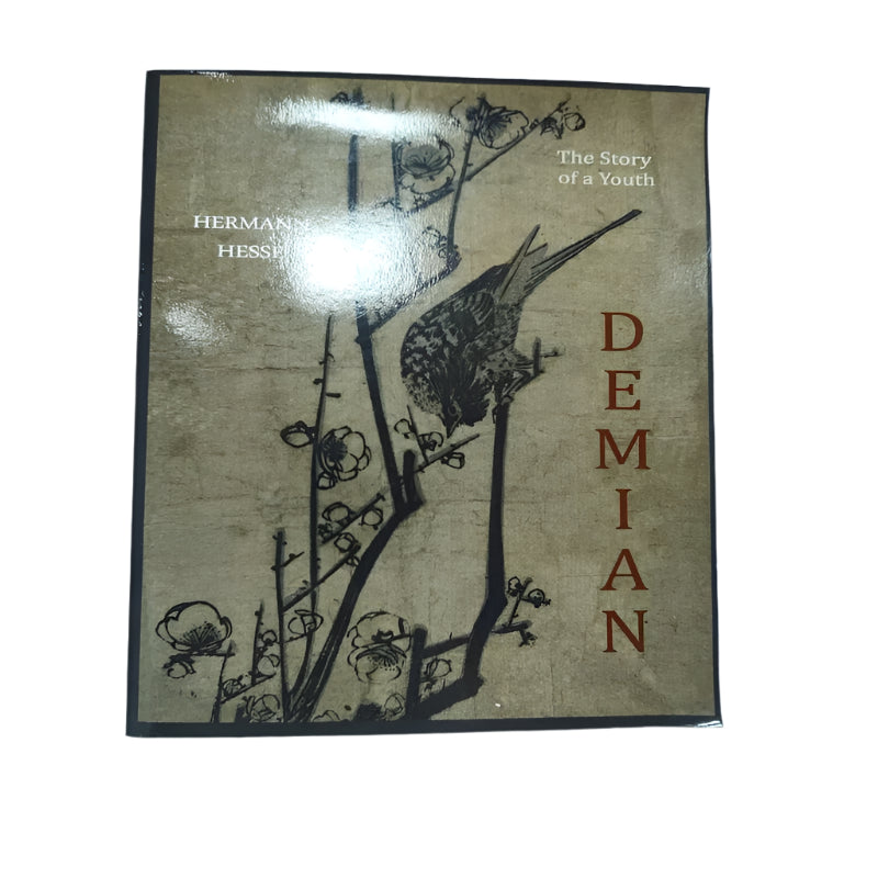 Libro Demian Hermann Hesse  The Stry Of A Youth / 2011
