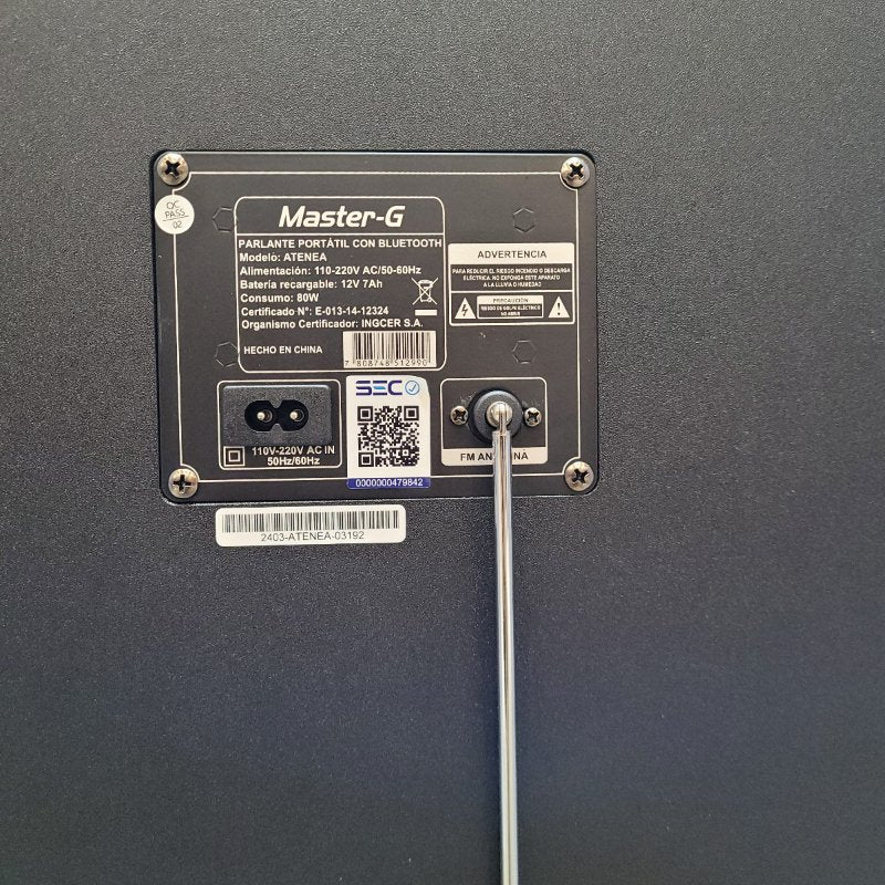 Parlante Bluetooth Karaoke Master G Atenea 8"X2 16.000 Watts