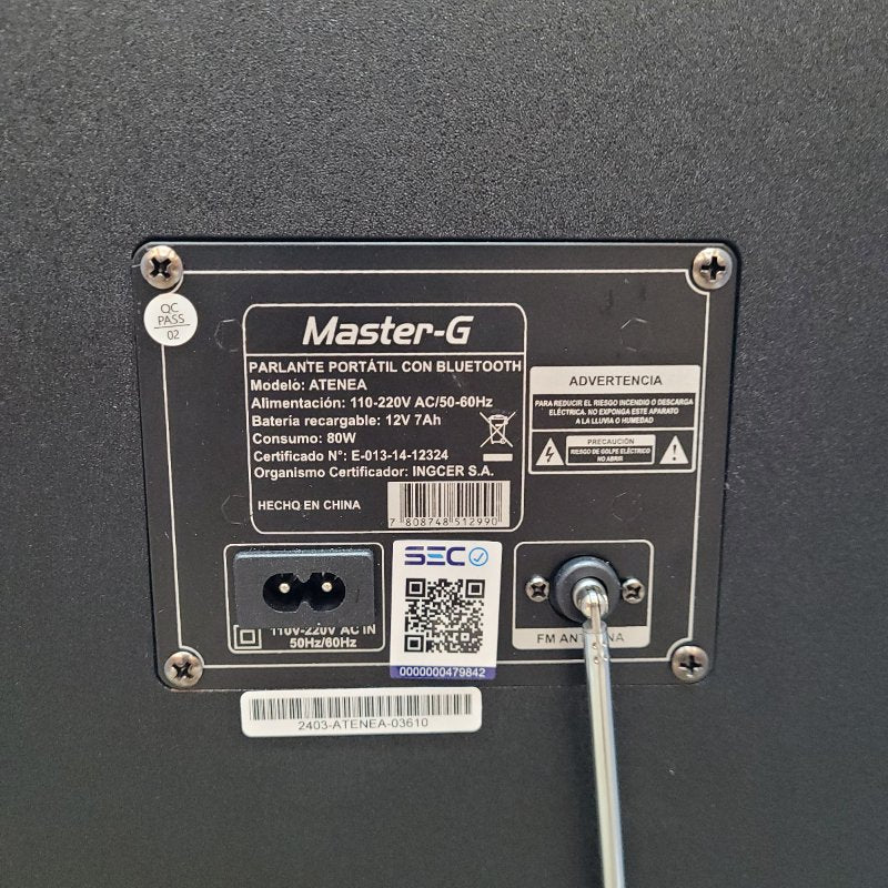 Parlante Bluetooth Karaoke Master G Atenea 8"X2 16.000 Watts
