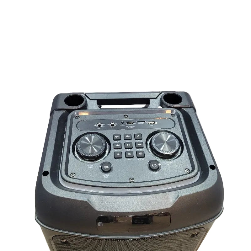 Parlante Bluetooth Karaoke Master G Atenea 8"X2 16.000 Watts