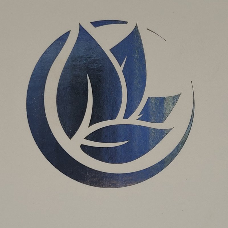 Vaporizador Facial Spa + Microderm Glo Multifuncional Nano Iónico