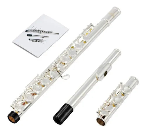 Flauta Traversa Profesional Sonido Nitido Eastar Plateado