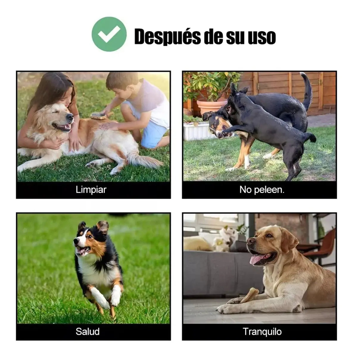 Corral para Mascotas Jaula de Perros y Gatos Valla 6 Paneles Negro