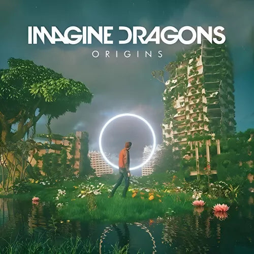 Disco Vinilo Set Imagine Dragon