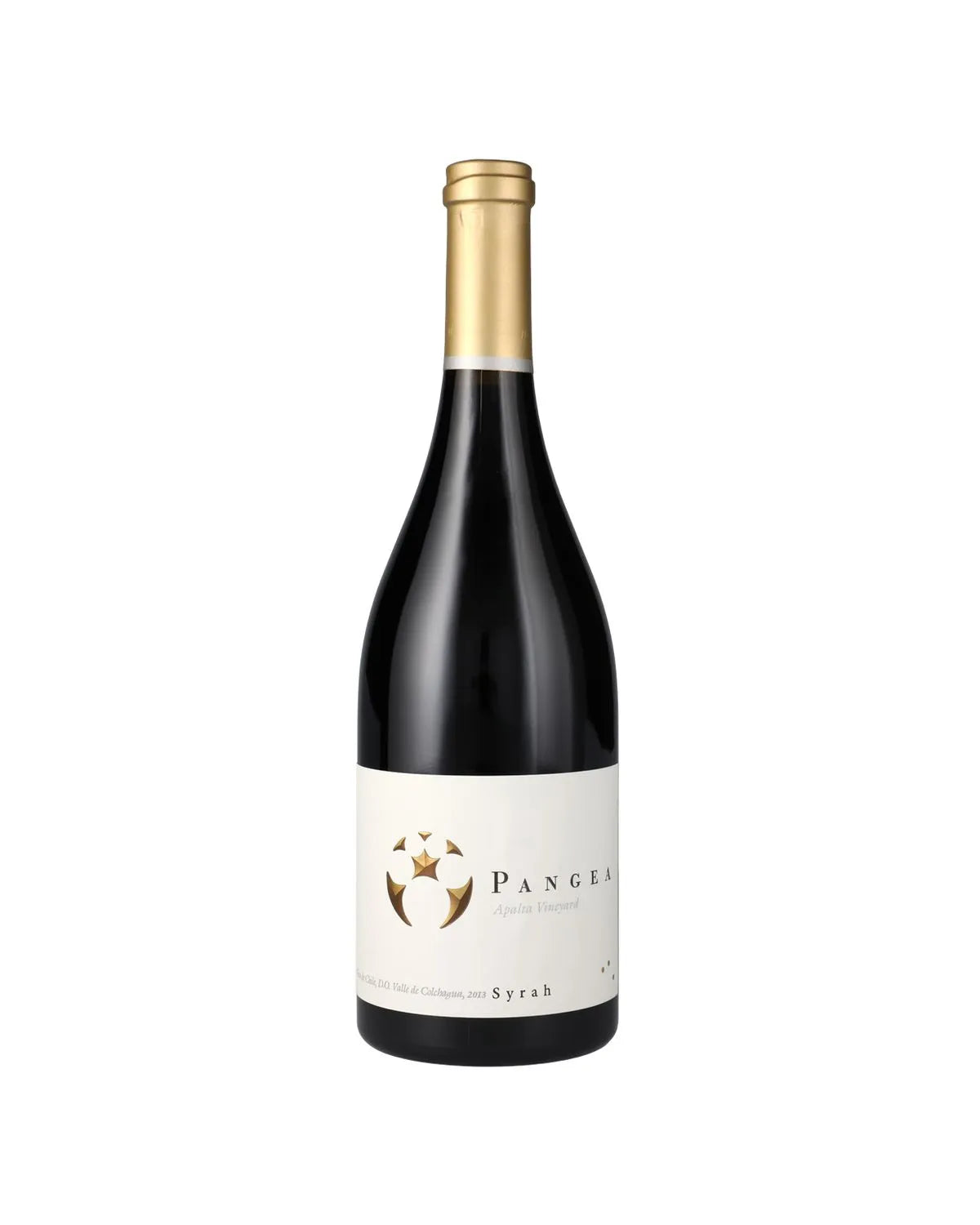 Vino Tinto Pangea Apalta Vineyard Syrah Valle De Colchagua 750 Ml 1 Botella 2016