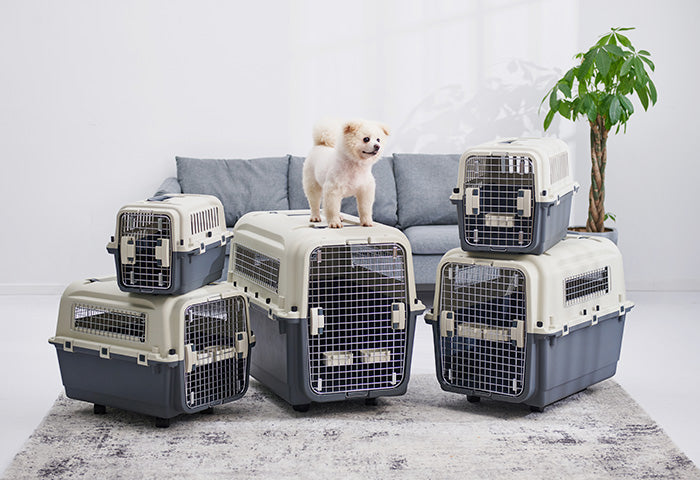 Transportadora Kennel Para Mascotas Xdb-450e/F Gris Xl