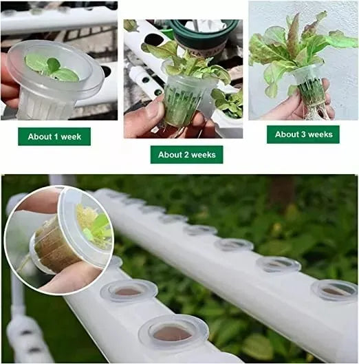 KIT HIDROPÓNICO CHINA BÁSICO 108 PLANTAS BLANCO