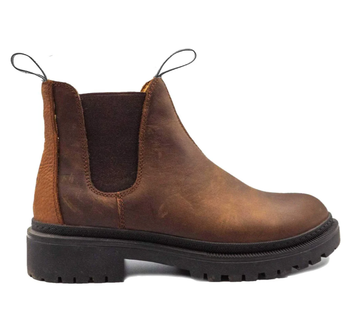 Zapatos Renox Renox Original 2 Cafe 36