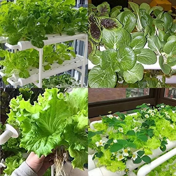 KIT HIDROPÓNICO CHINA BÁSICO 108 PLANTAS BLANCO