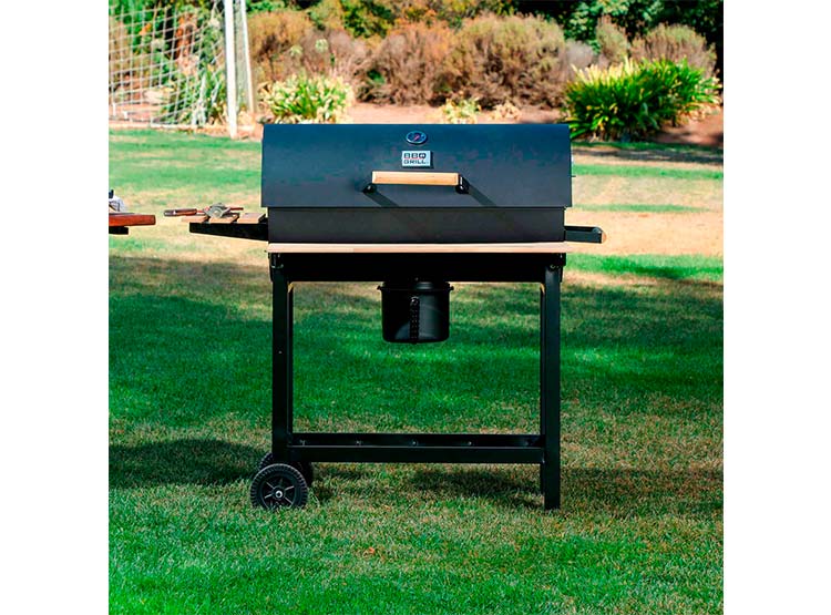 Parrilla A Carbon Bbq Grill Oregon Negro