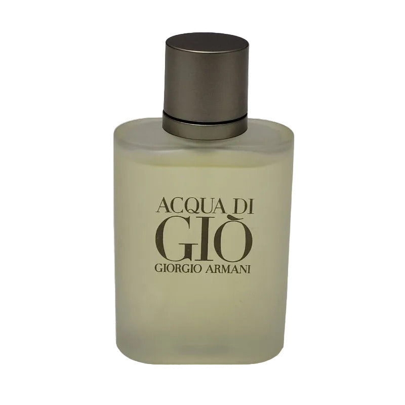 Perfume Acqua di Giò Giorgio Armani 100 ml