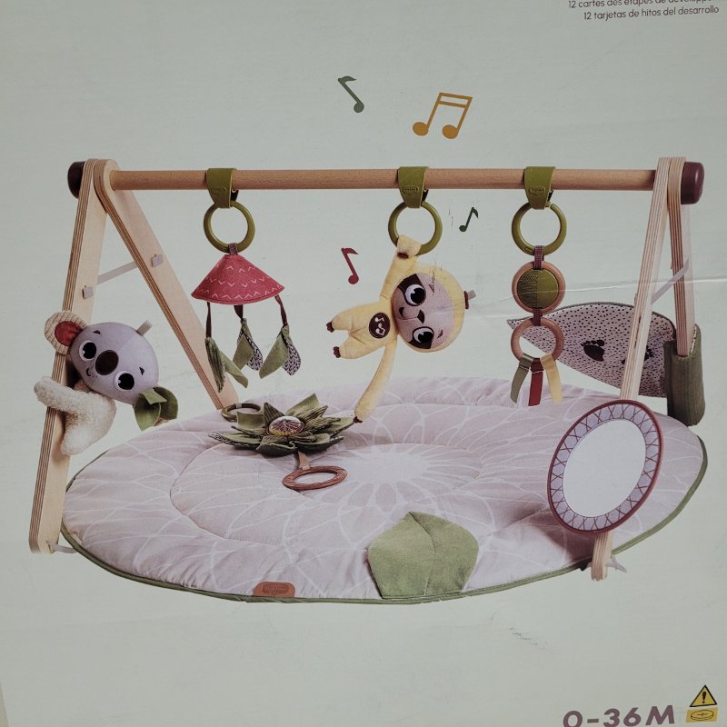 Gimnasio para Bebé Tiny Love Boho Chic 0-36 Meses