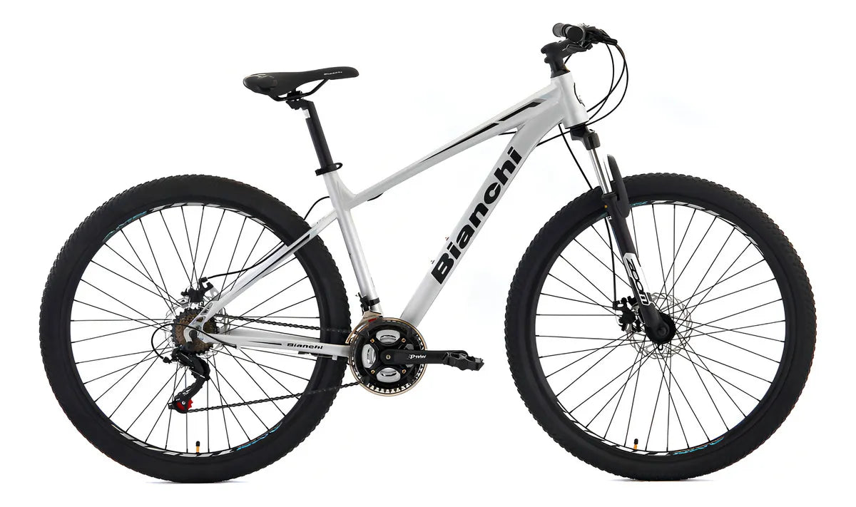 Bicicleta de Montaña Stone Mountain Bianchi SX Alloy Plata Talla M Aro 29