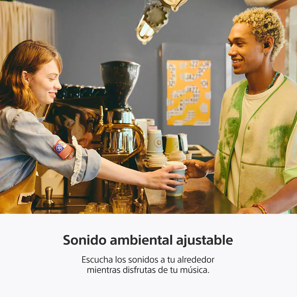 Audífonos Inalámbricos Sony WF-C510 Negro