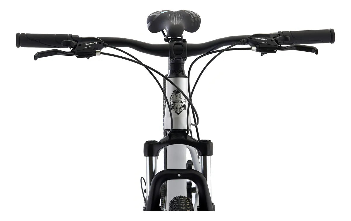 Bicicleta de Montaña Stone Mountain Bianchi SX Alloy Plata Talla M Aro 29