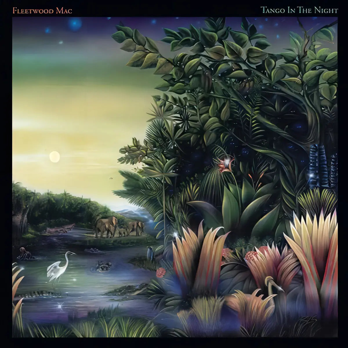 Disco Fleetwood Mac Tango in the Night