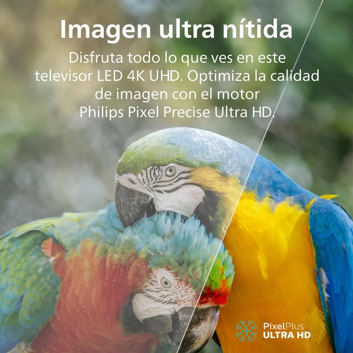 Smart TV LED Ultra HD 4K Philips 50PUD7019, 50 pulgadas