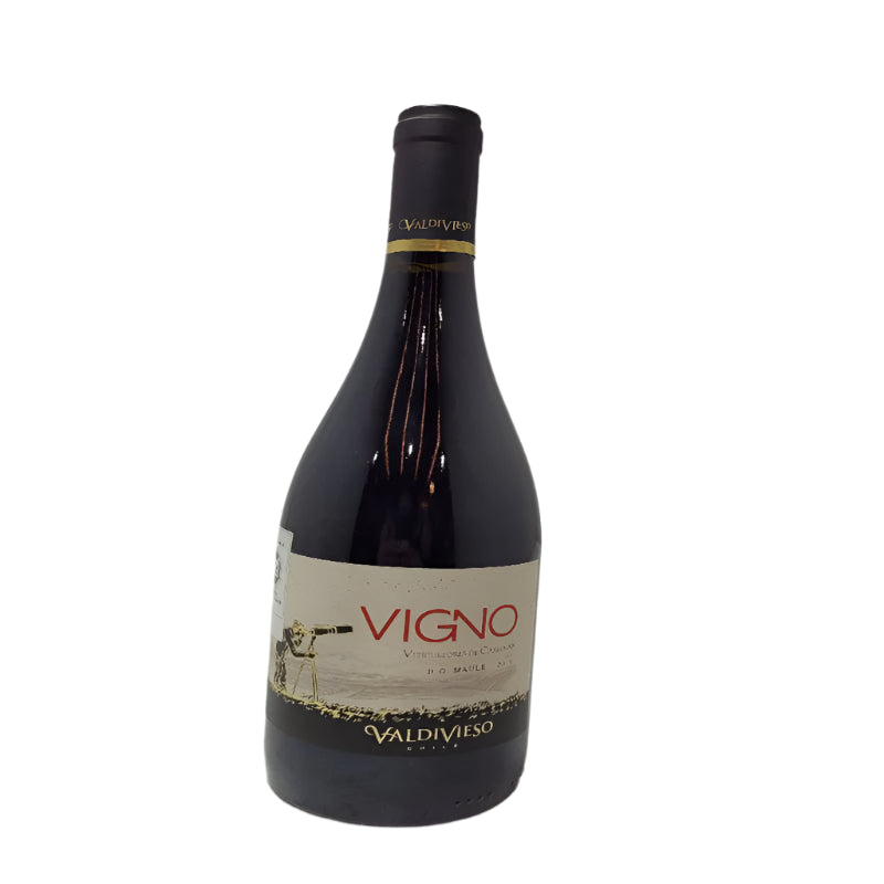Vino Tinto Valdivieso Carignan Valle Del Maule 750 Ml 1 Botella 2019